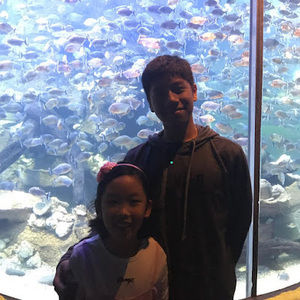 Meet your Posher, Robert_